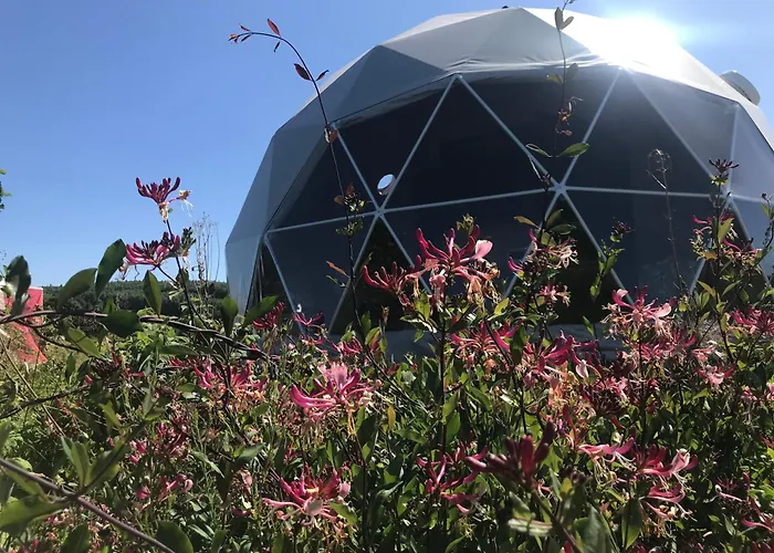 Tatra Glamp - Siec Noclegowa Tatra Glamp *