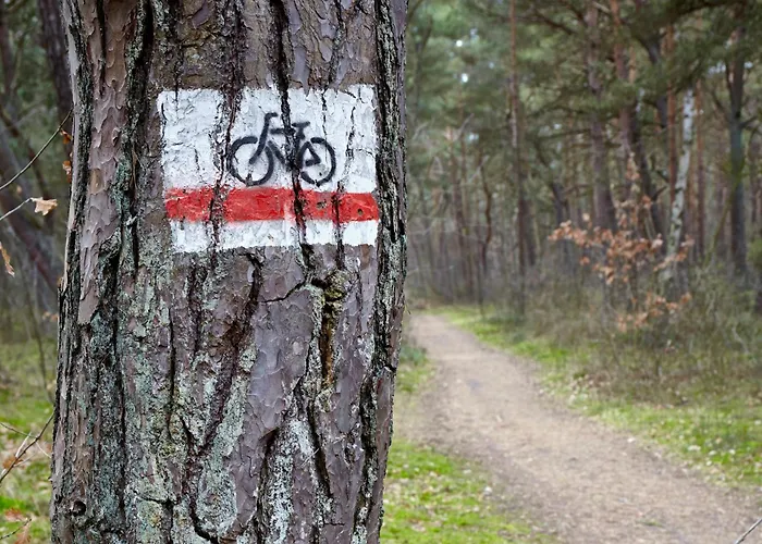 Tatra Glamp - Siec Noclegowa Tatra Glamp Okrzeszyn