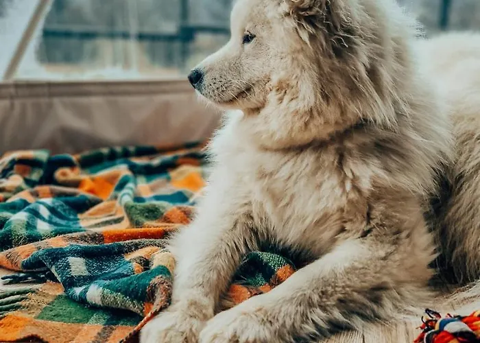 Luxusní stan Tatra Glamp - Siec Noclegowa Tatra Glamp