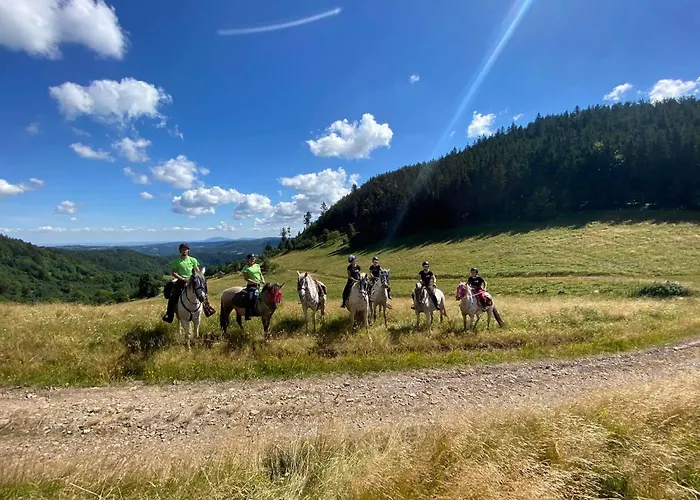 Tatra Glamp - Siec Noclegowa Tatra Glamp * Okrzeszyn